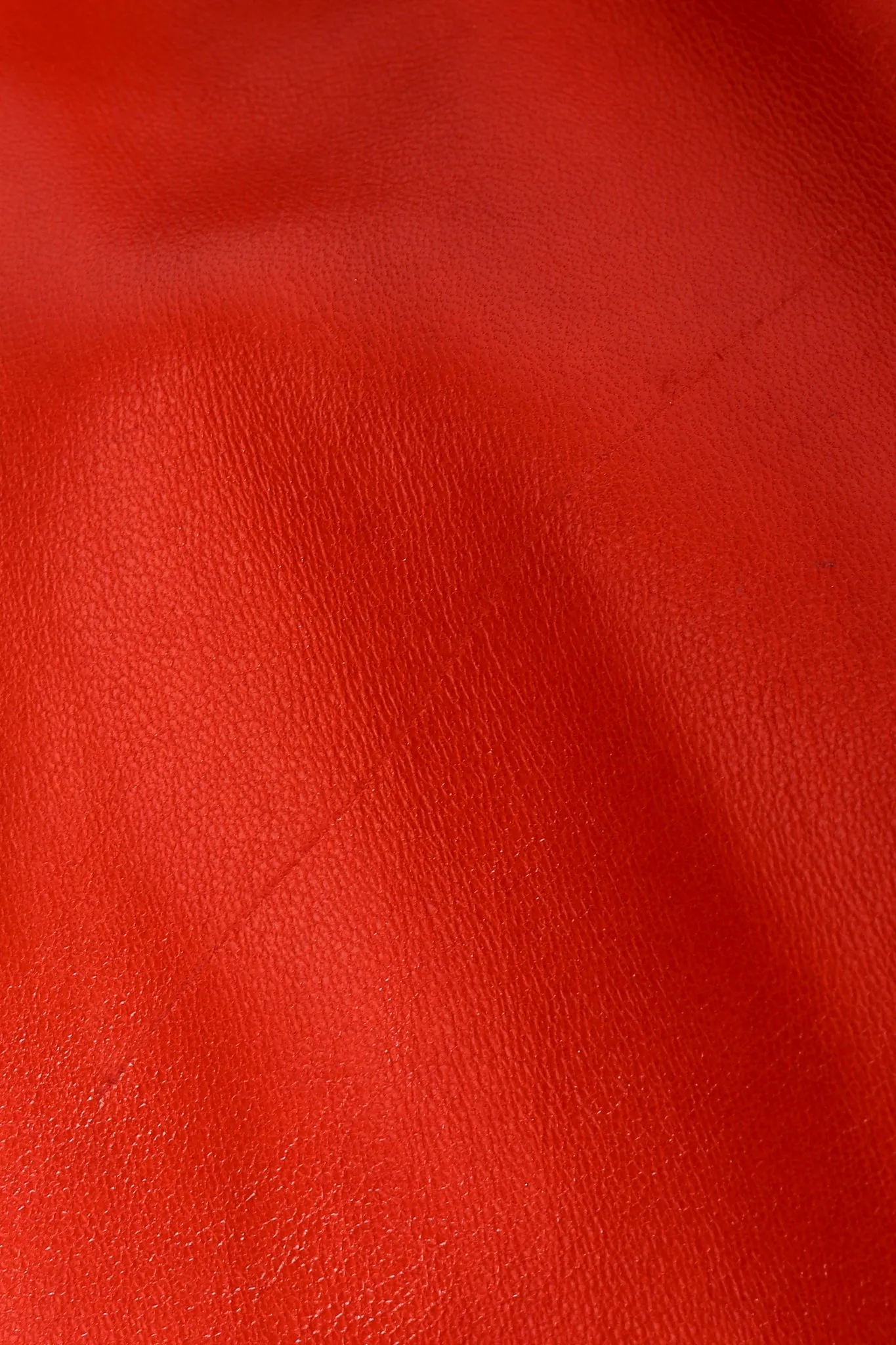Belted Leather Jacket