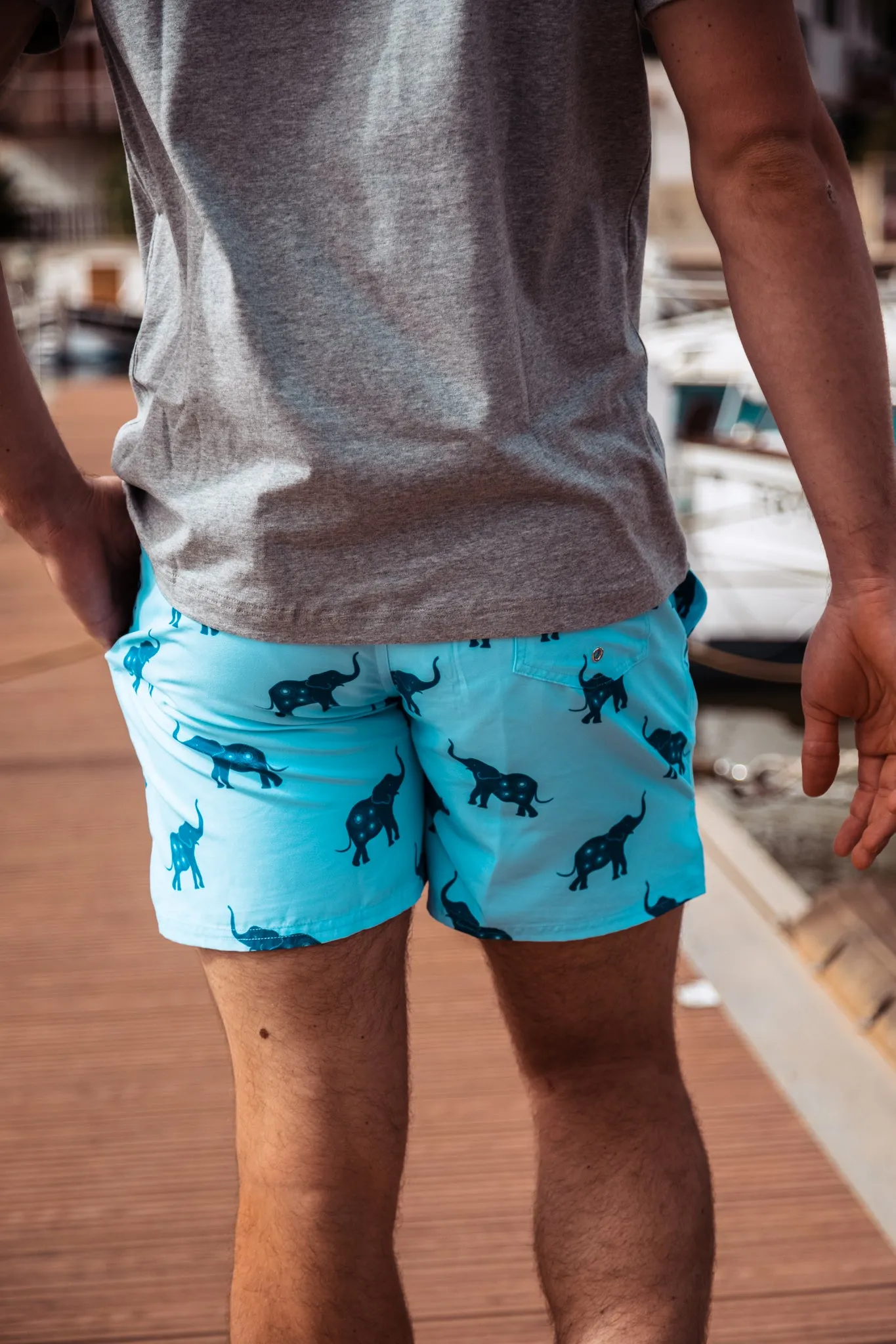 Blue Bold Elephant