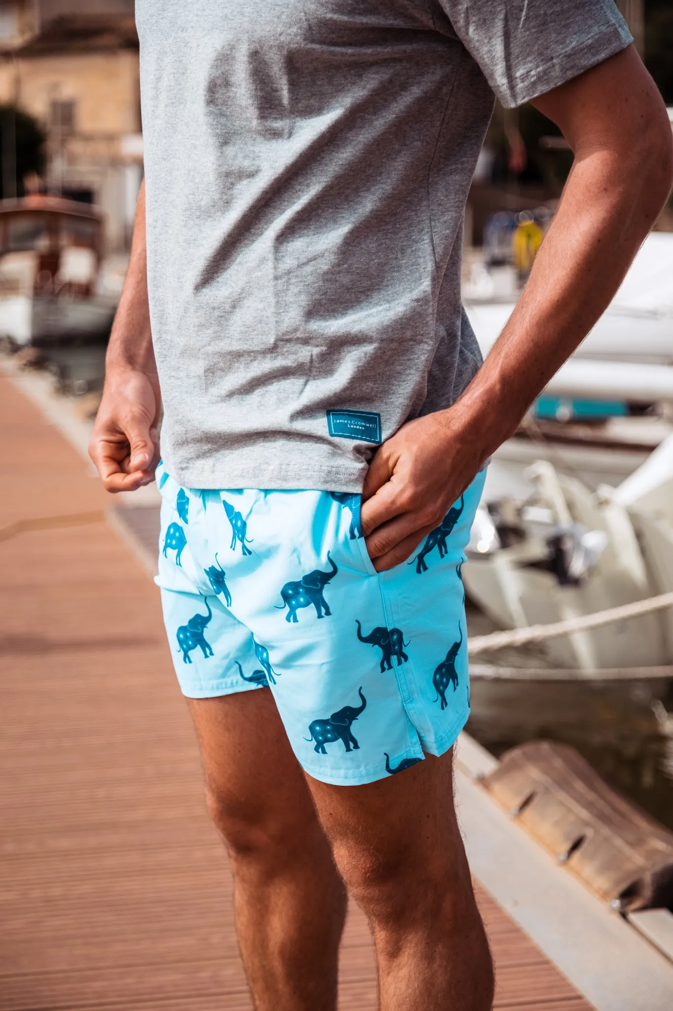 Blue Bold Elephant