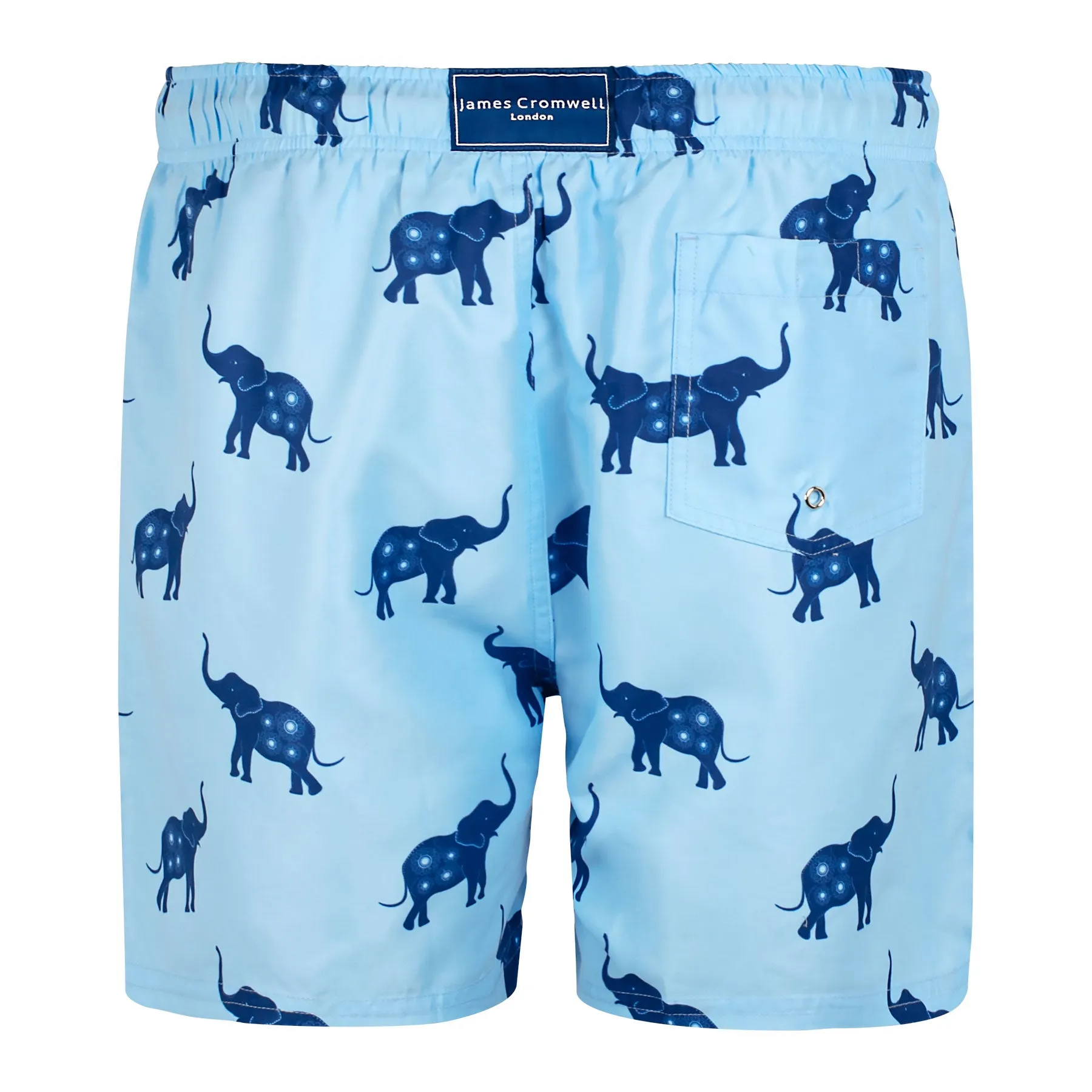 Blue Bold Elephant