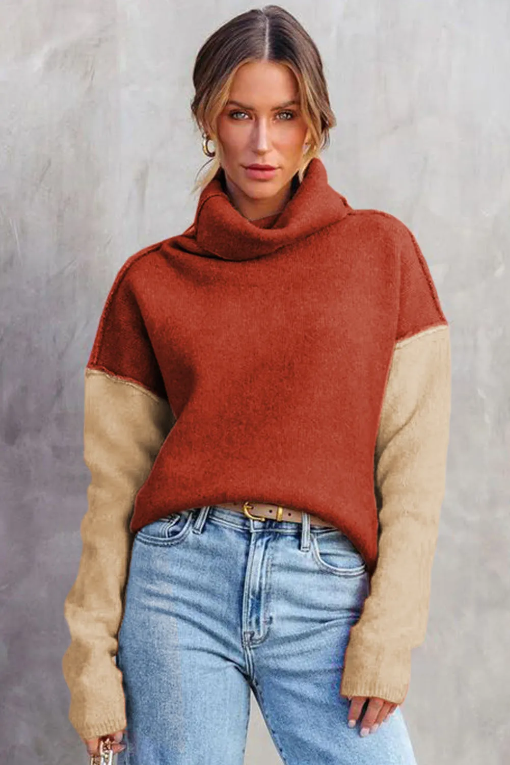 Color Block Turtle Neck  Knit Sweater