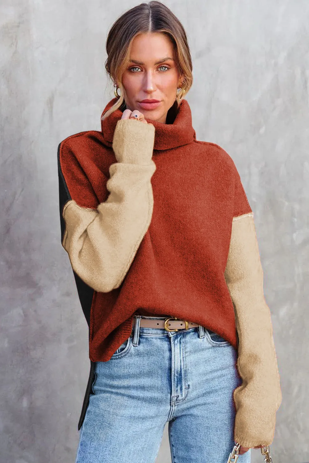 Color Block Turtle Neck  Knit Sweater