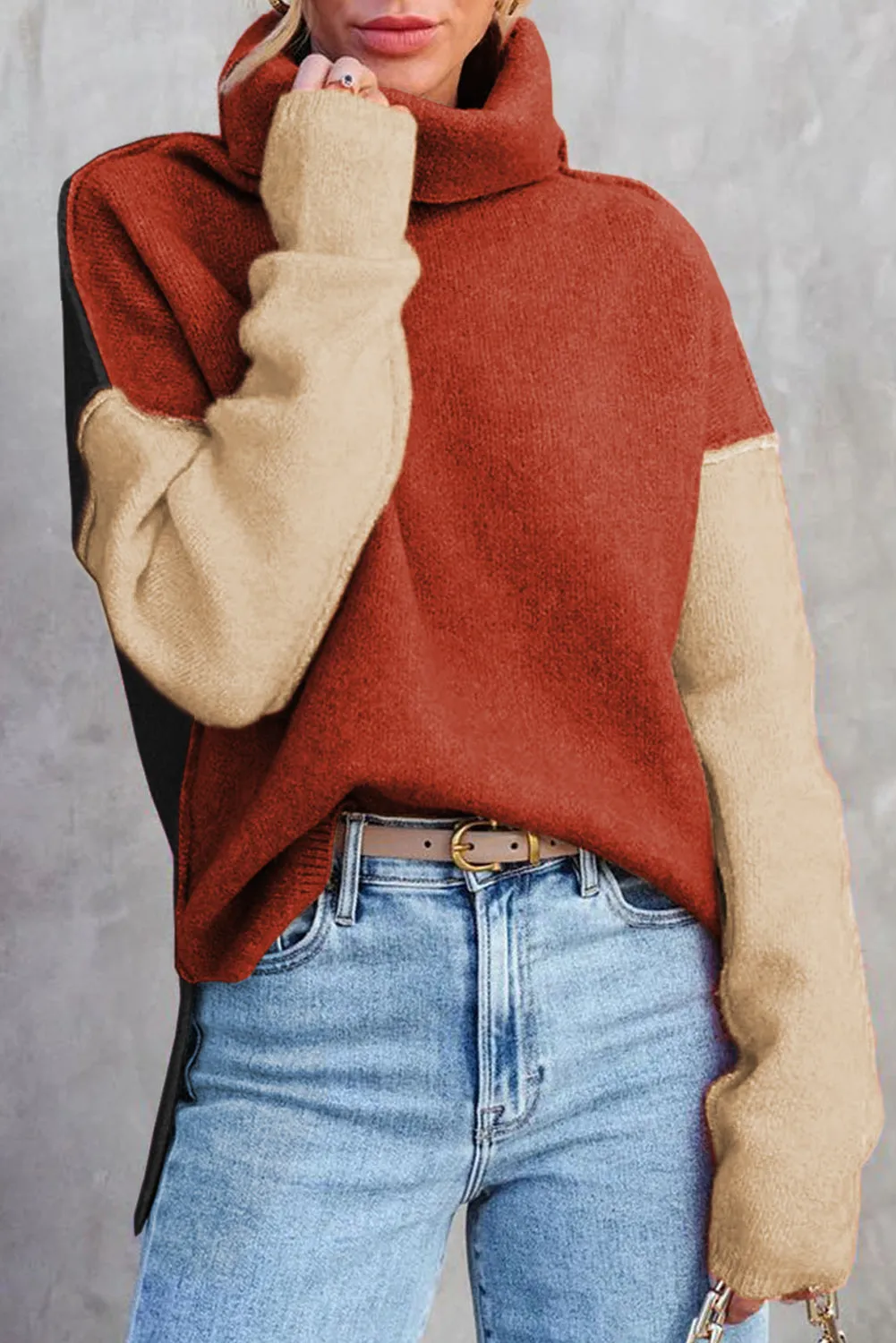 Color Block Turtle Neck  Knit Sweater