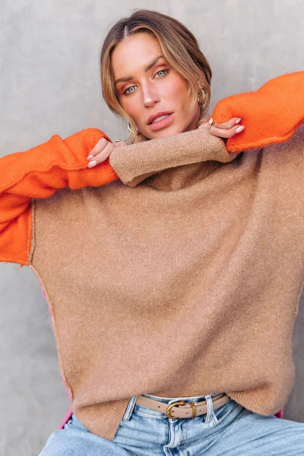 Color Block Turtle Neck  Knit Sweater