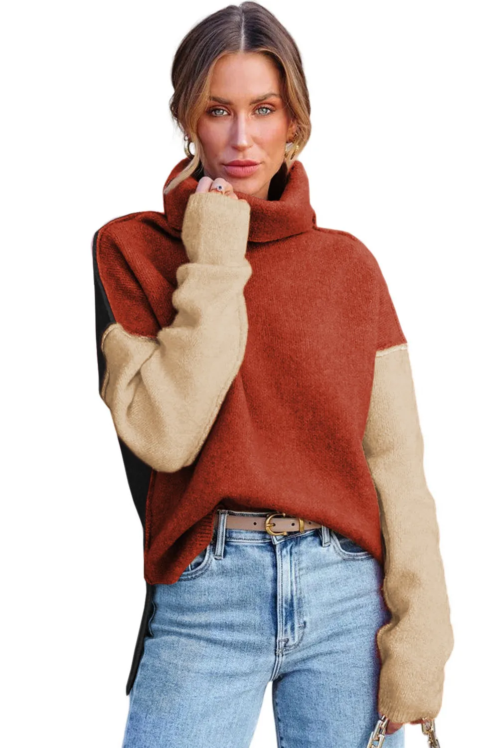 Color Block Turtle Neck  Knit Sweater