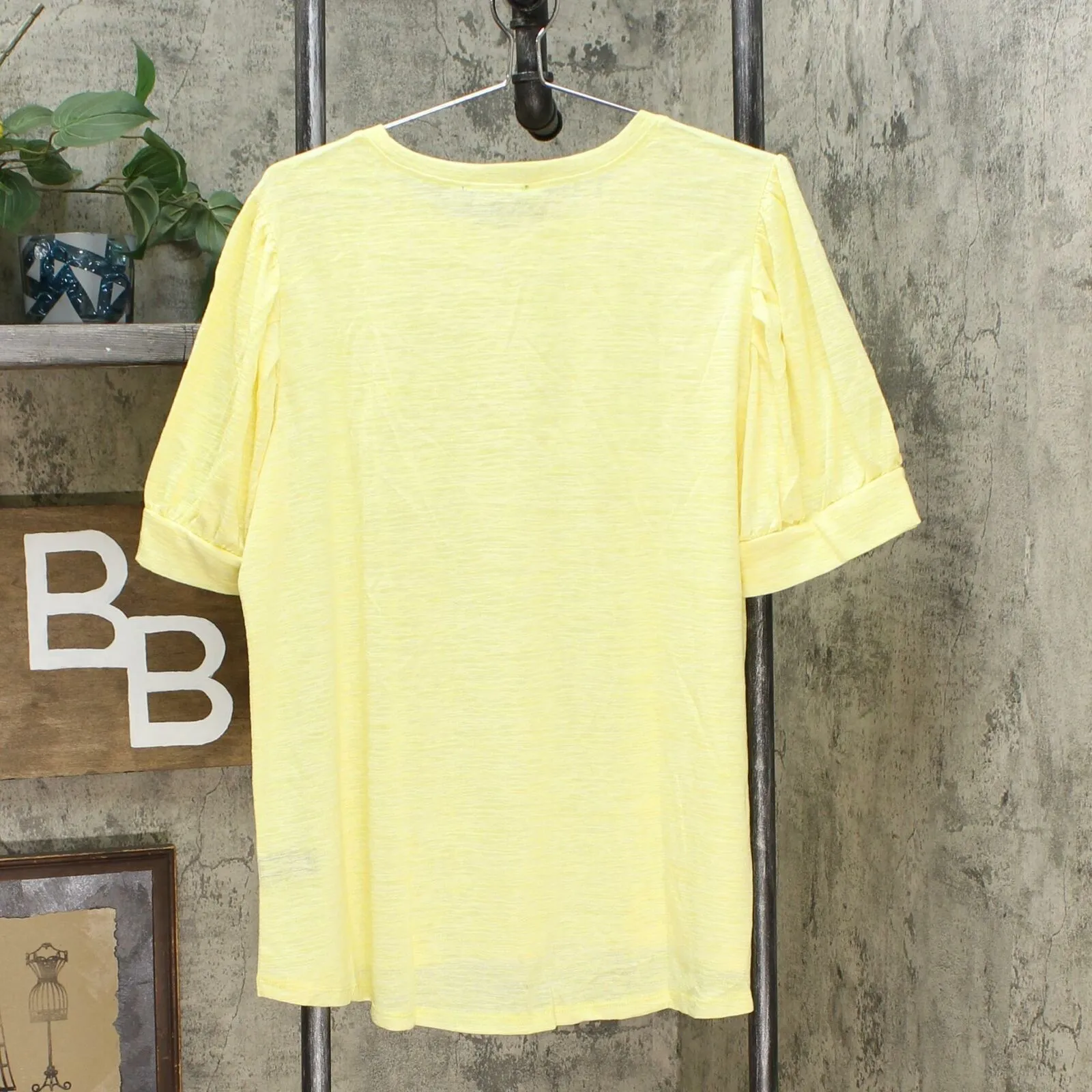 DG2 by Diane Gilman Women's Plus Size Balloon Sleeve Slub Knit T-Shirt