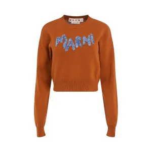 Logo Cropped Roundneck Sweater in Apricot