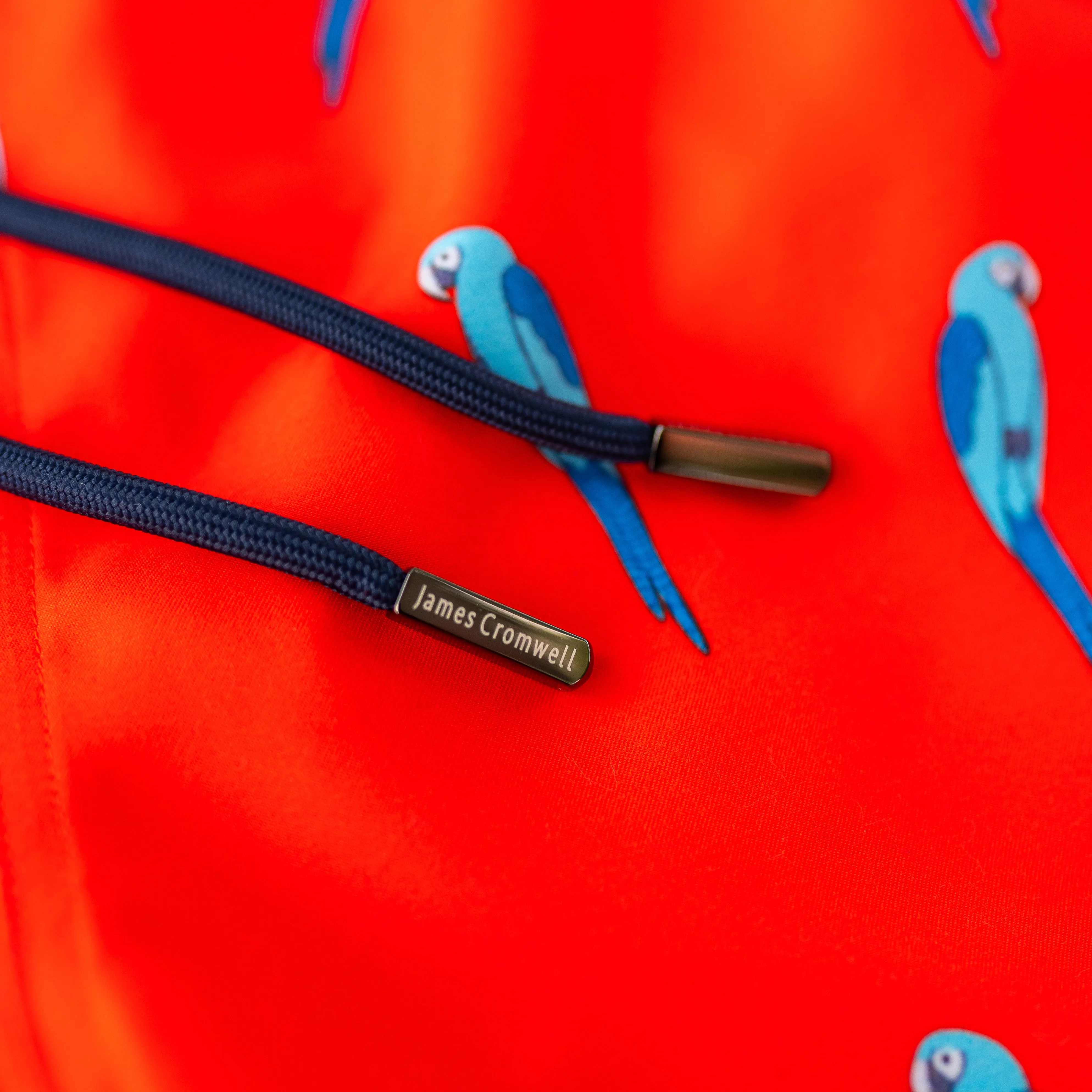 Red Bold Parrot