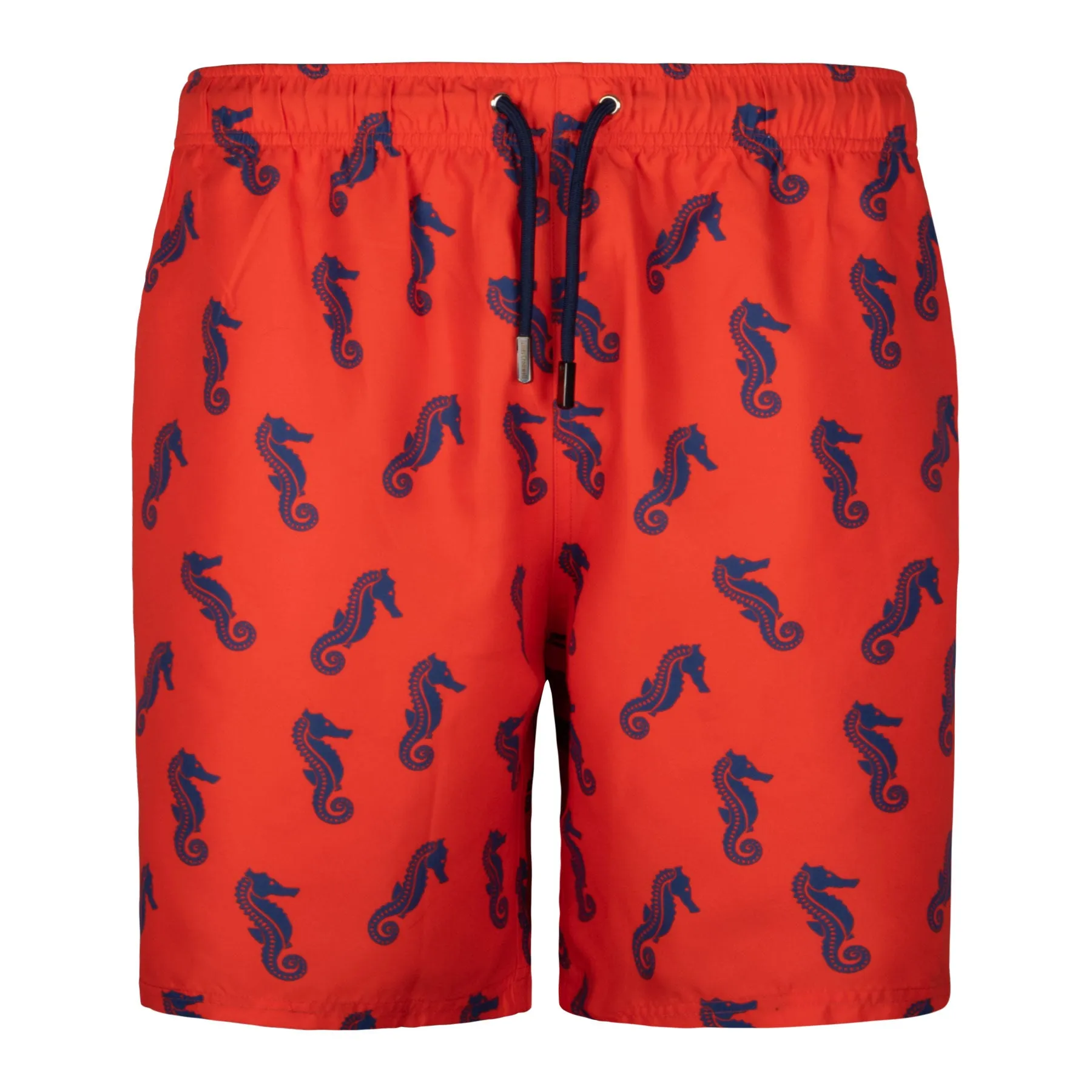 Red Bold Seahorse