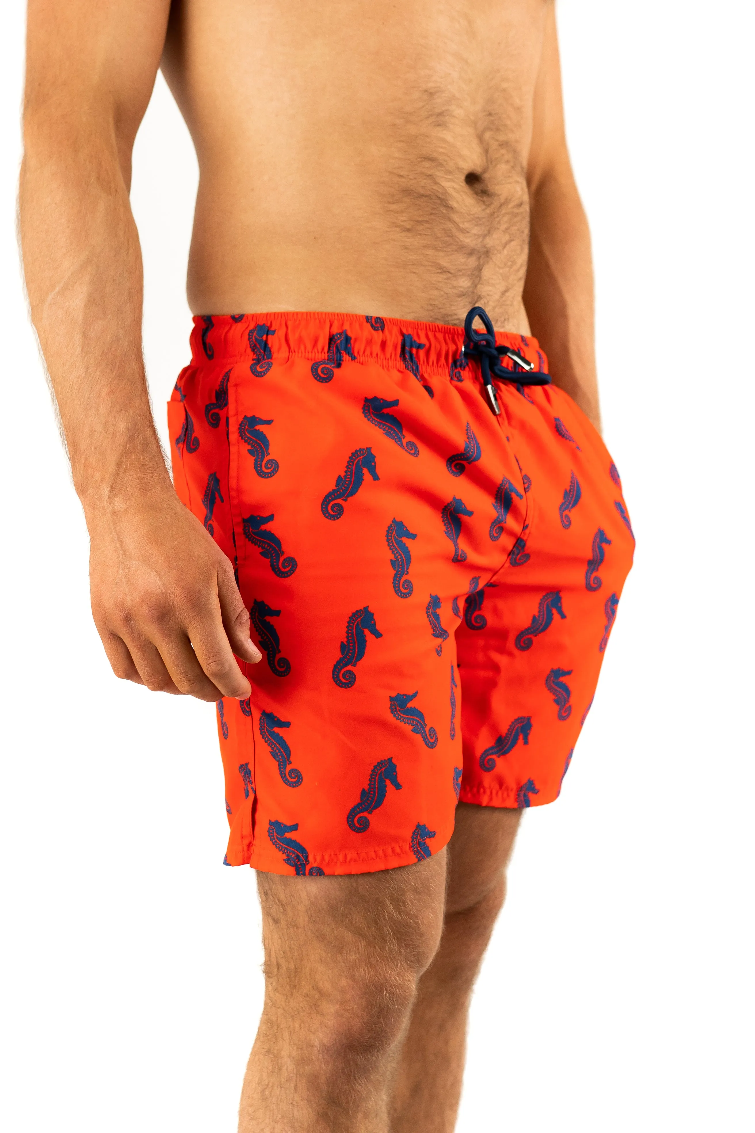 Red Bold Seahorse