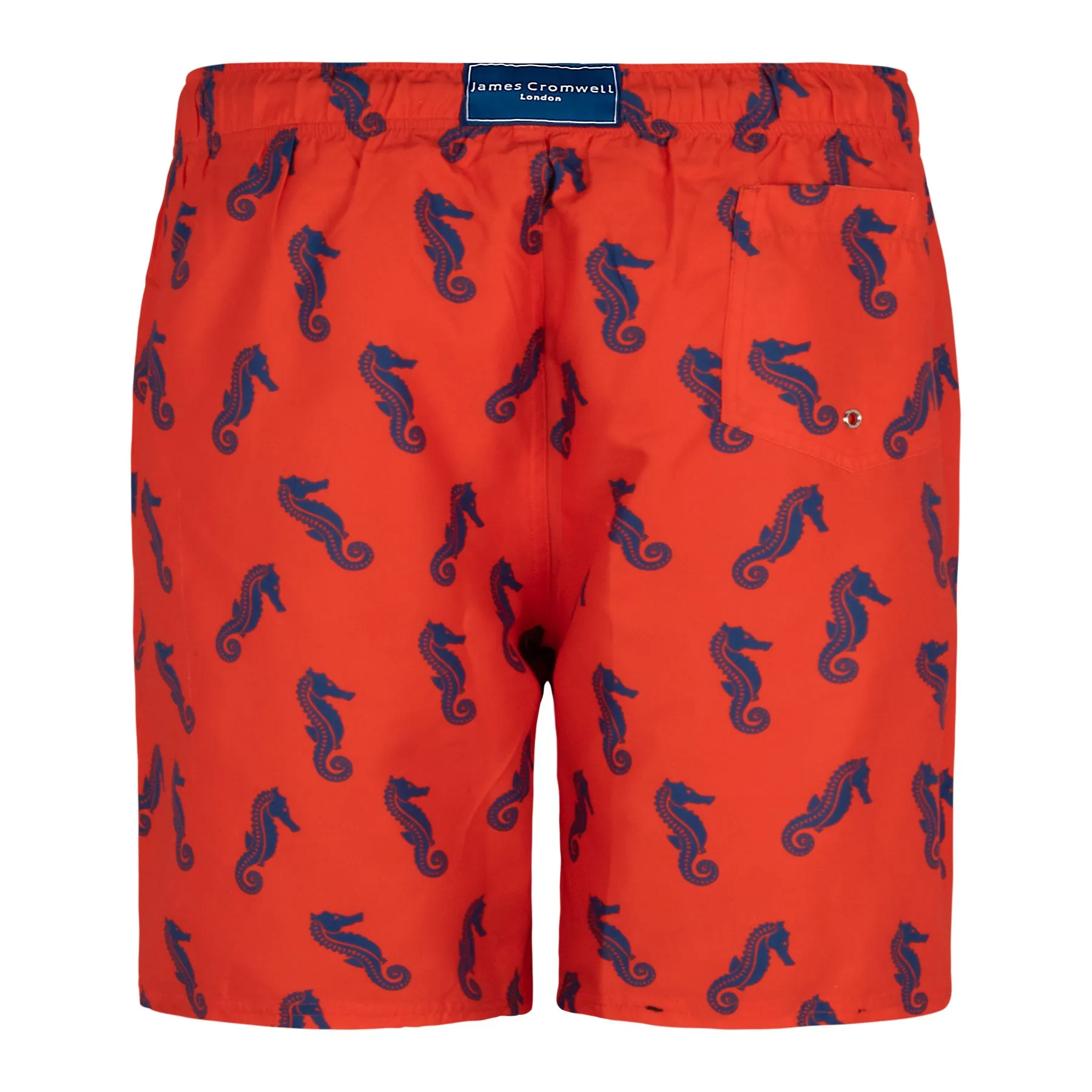 Red Bold Seahorse