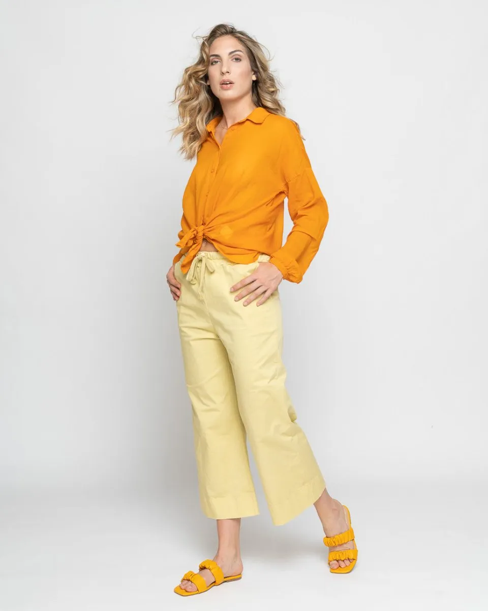 Sheer Hi-Lo Button-Up Shirt