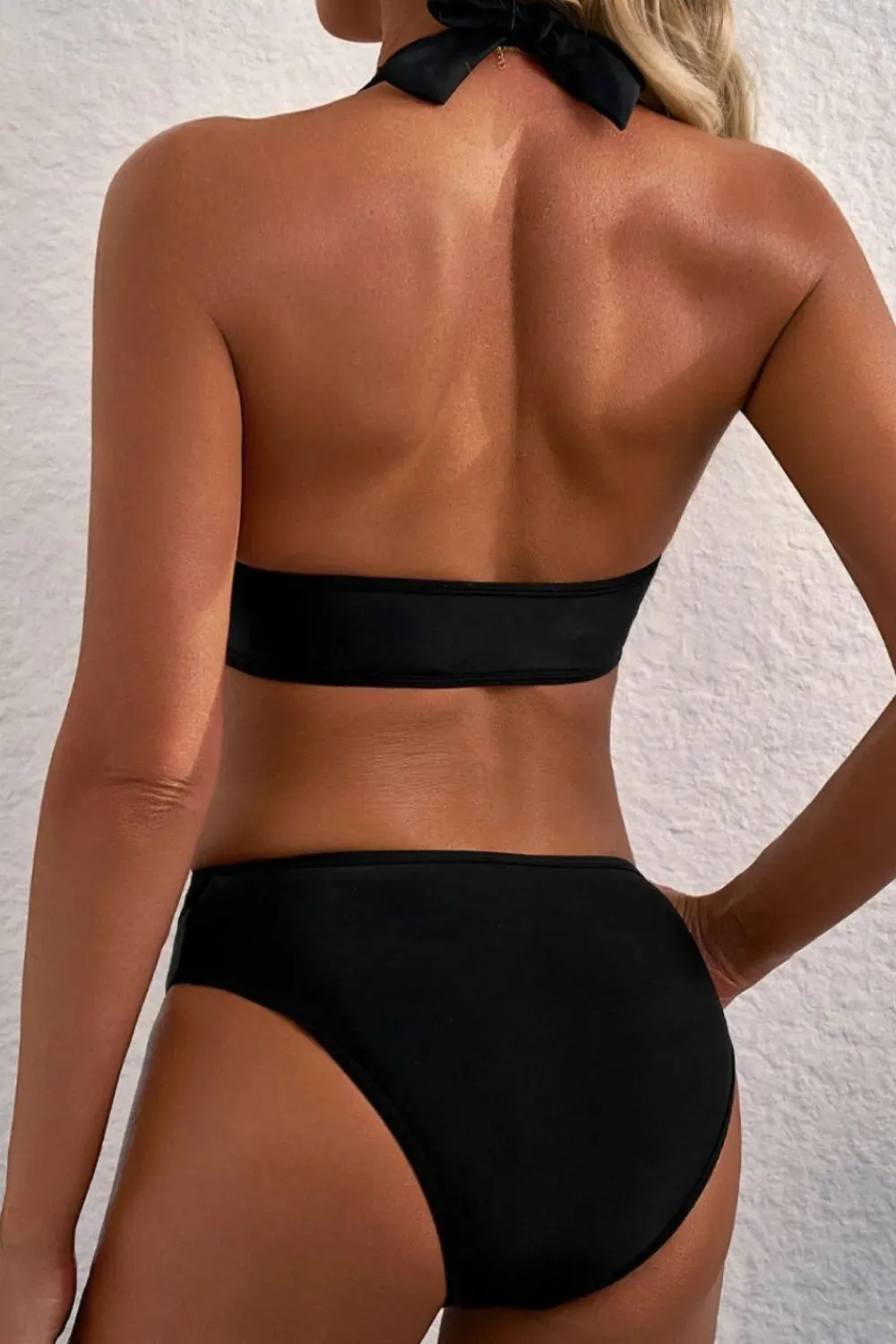 Sheer Mesh Edged Halter V Neck Push Up Bikini Set