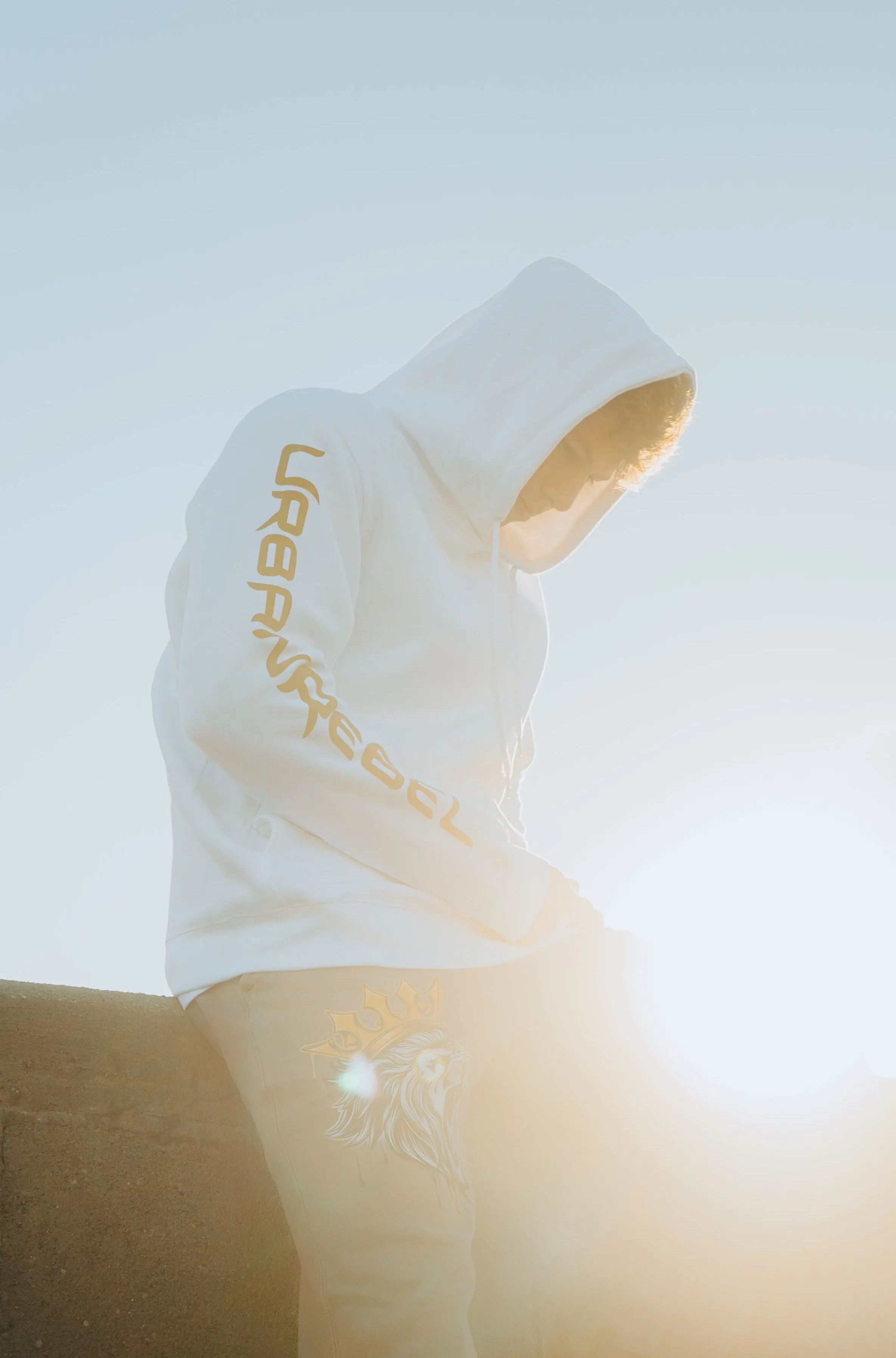 Signature Hoodie