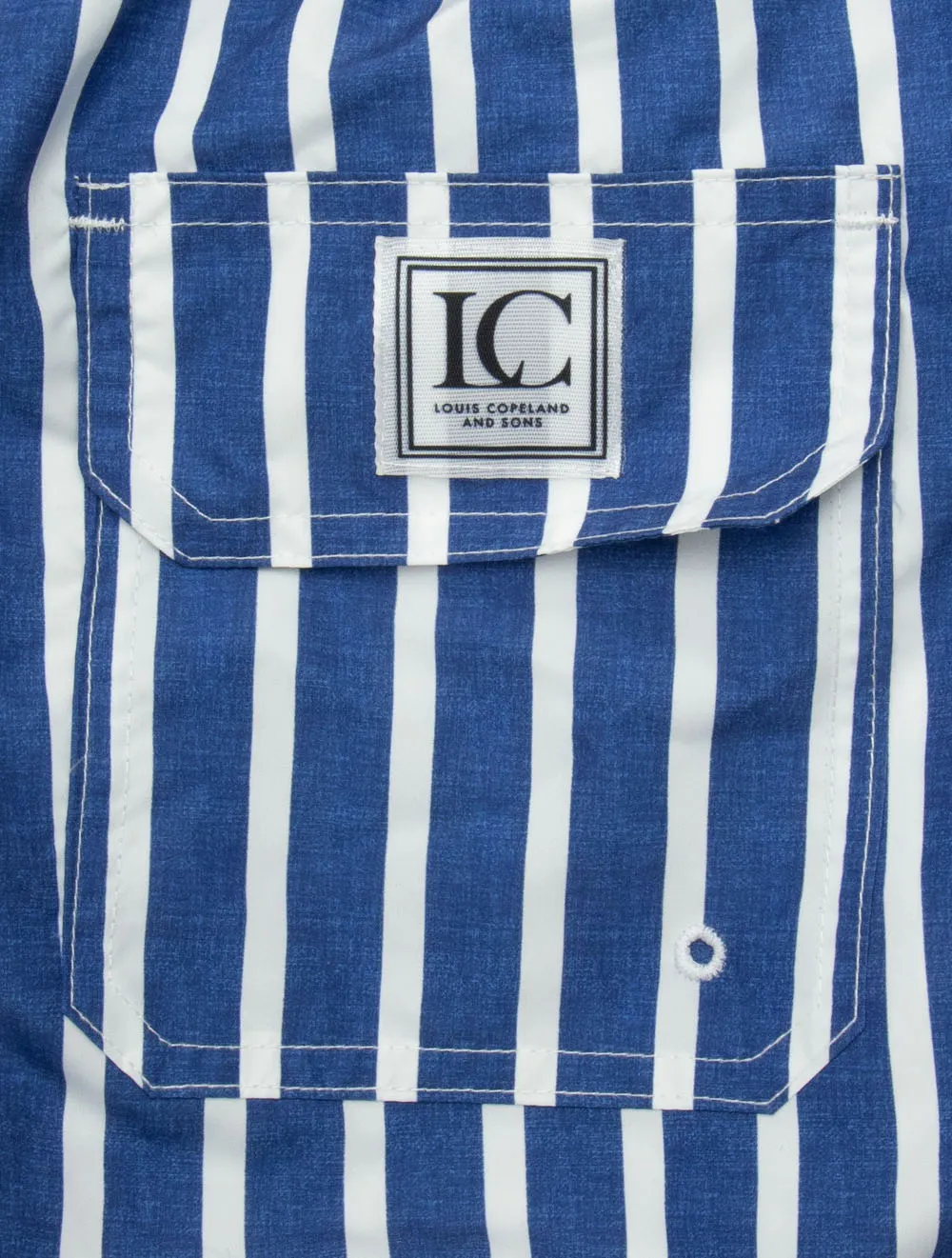 Stripe Swimwear Blue