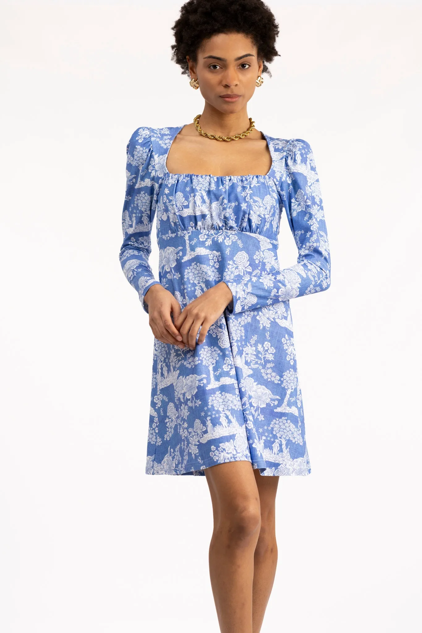 The Juliet Dress - French Country