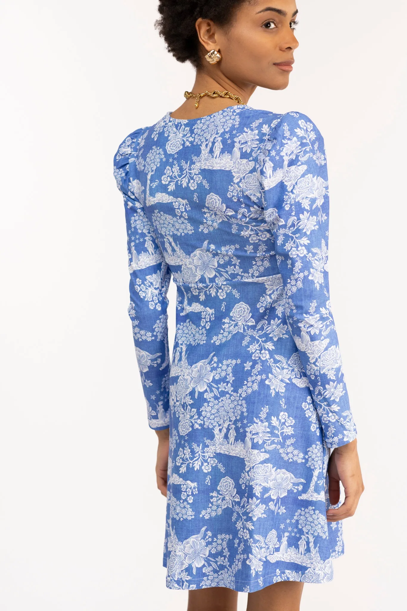 The Juliet Dress - French Country