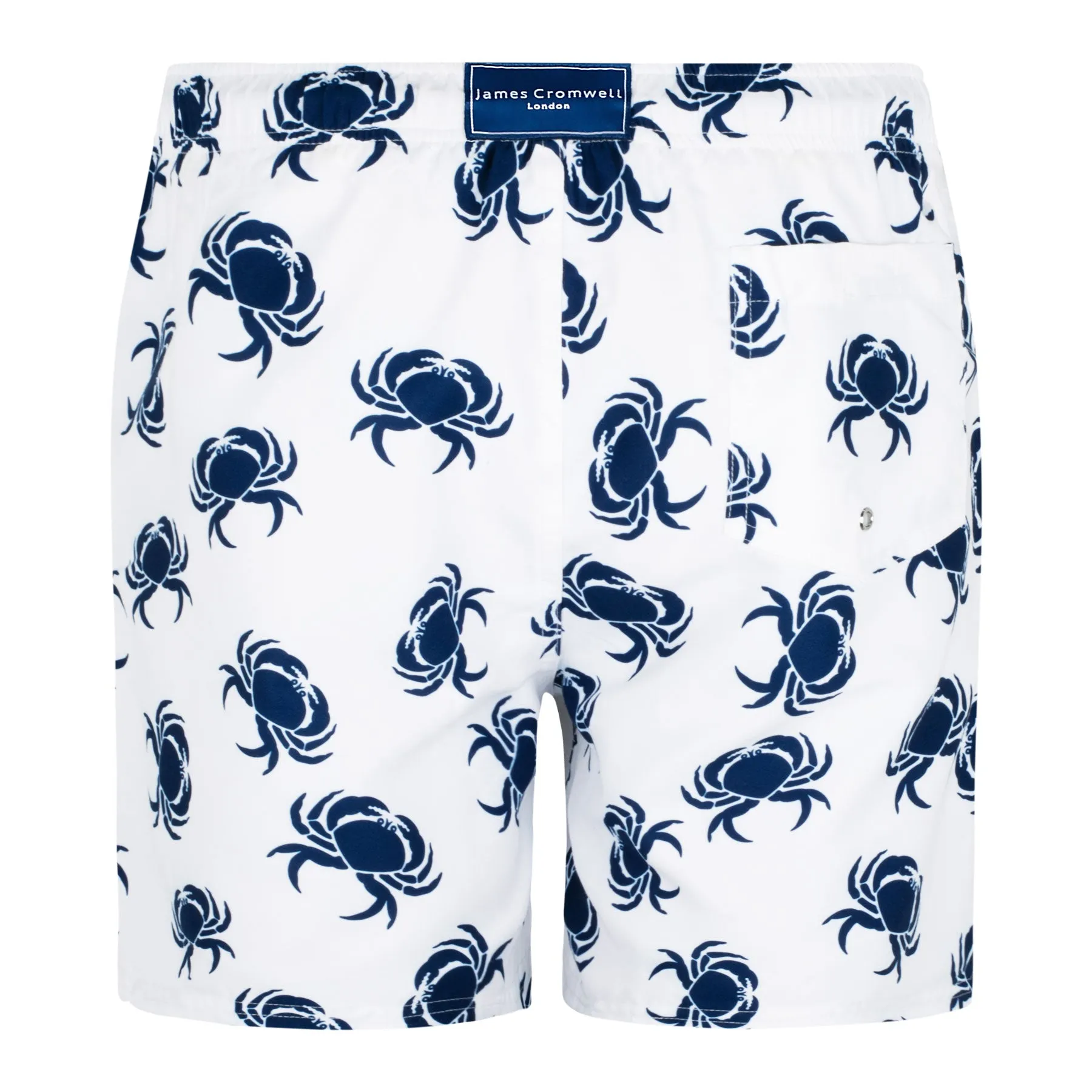 White Bold Crab